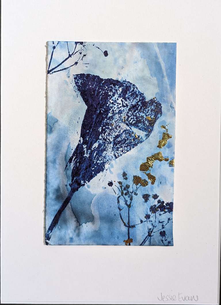 Cyanotype of a blue flower