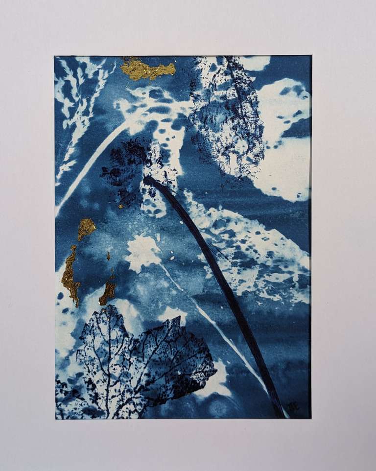 abstract cyanotype