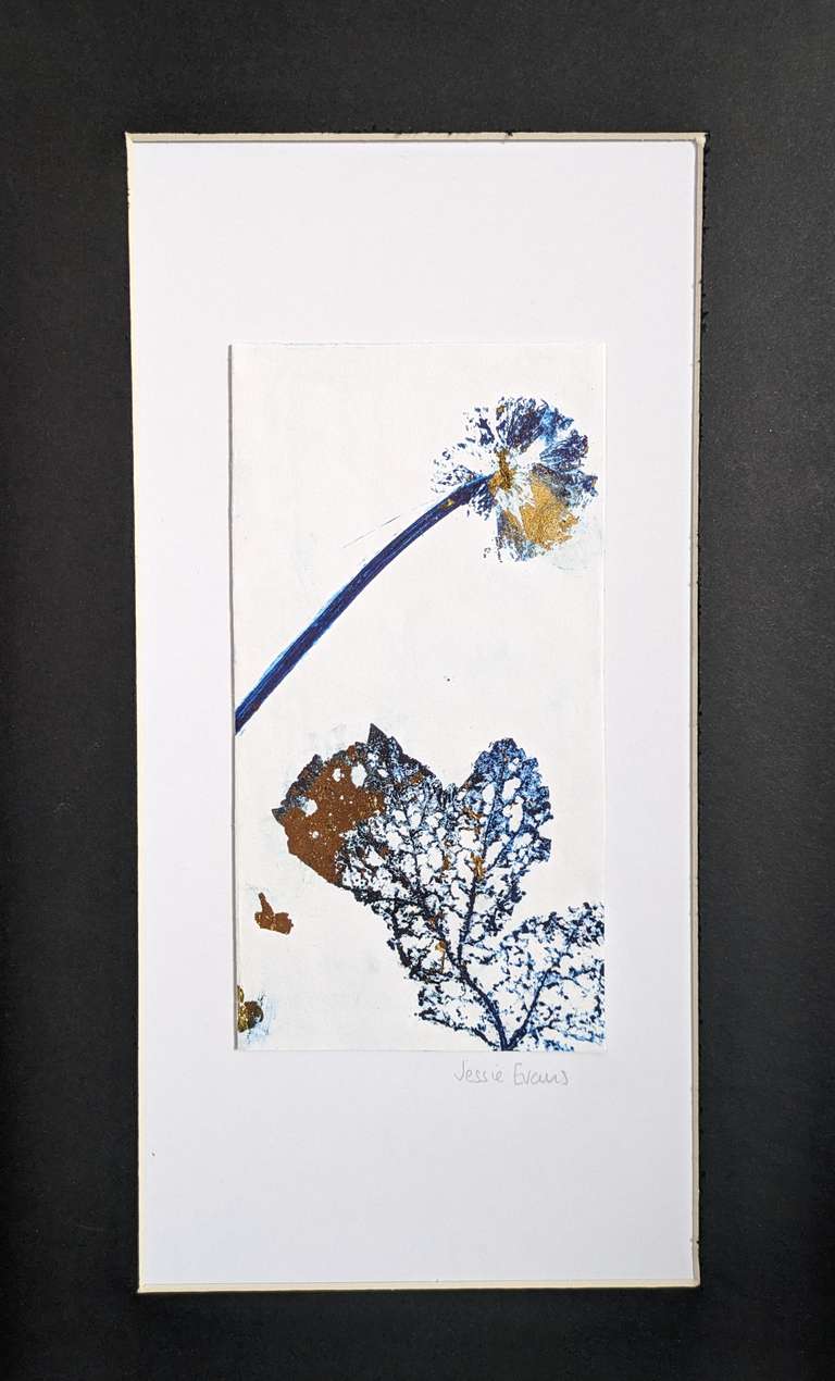 dandelion head cyanotype